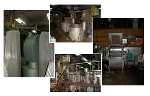 Dye plant